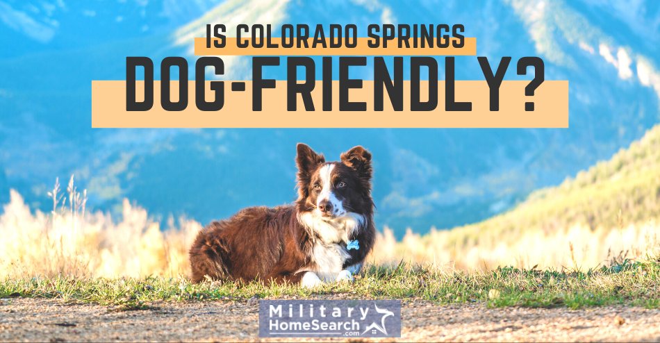 Is Colorado Springs Dog-Friendly?